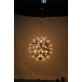 JK049 Taraxacum 88